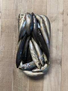 5lb cigar minnow