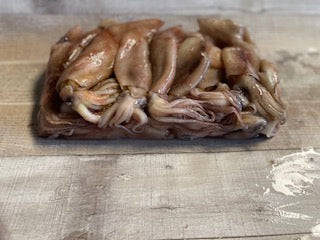 5lb squid