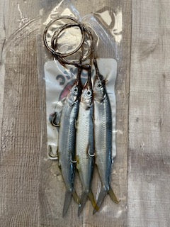 Wire rigged ballyhoo